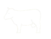 1-removebg-preview 1-removebg-preview